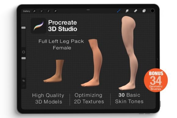 Exploring the Procreate 3D Model - Left Leg Female and Procreate 3D Model Pack - Right Leg Female