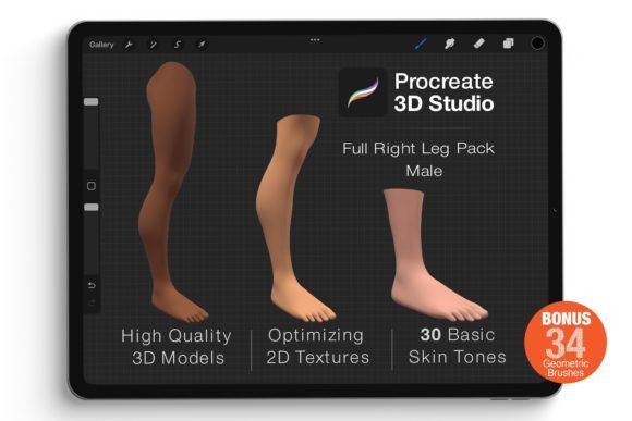 Procreate 3D Model - Right Leg Male