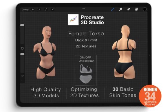Procreate 3D Model - Torso Female